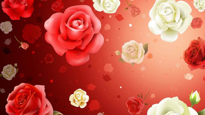 Lots Of 2D Flowers For Valentines Day