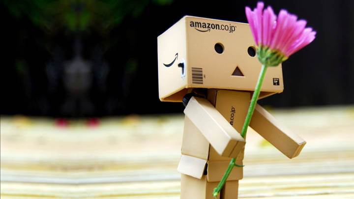 Plastic Amazon Box Giving Pink Flower On Valentines Day