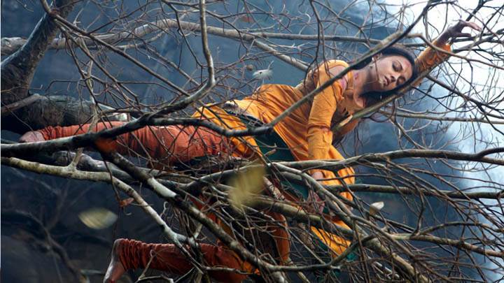 Aishwarya Rai Falls Onto A Tree Branch In Movie Raavan