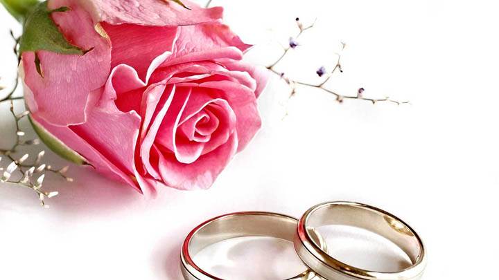 Pink Rose With Wedding Rings