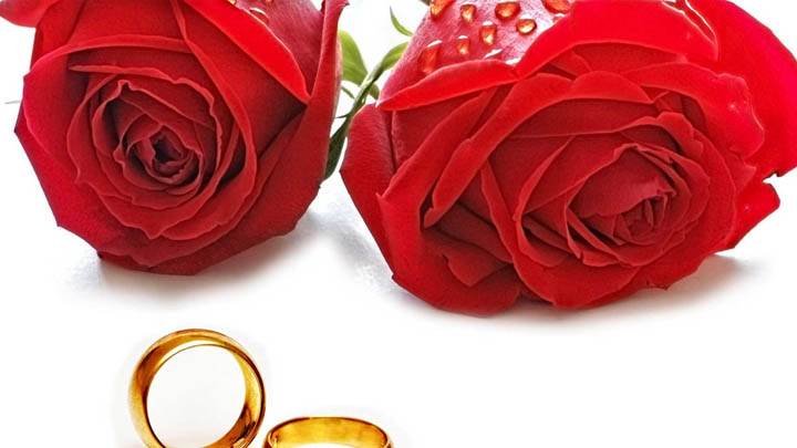 Red Roses And Golden Wedding Ring