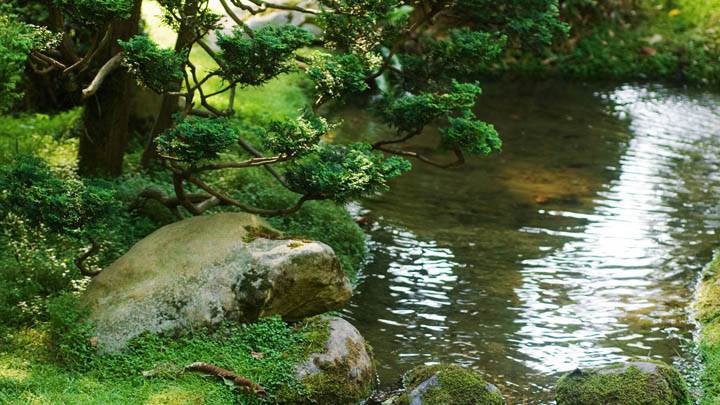Nice Garden Photo