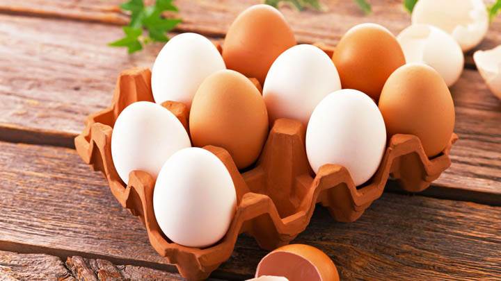 Egg In Tray