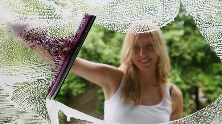 Girl Cleaning Window With Viper