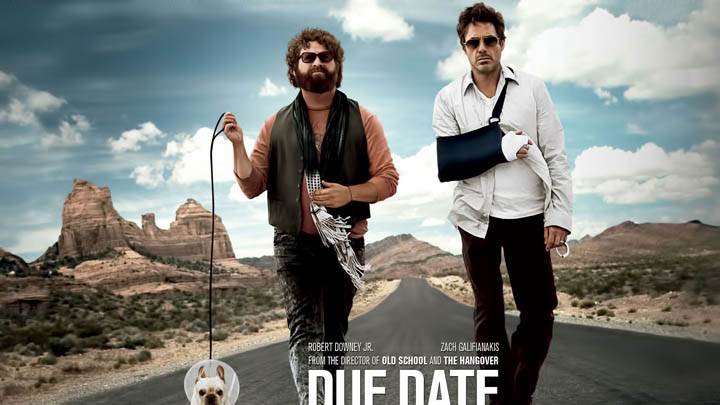 Robert Downey Jr. and Zach Galifianakis With Dog