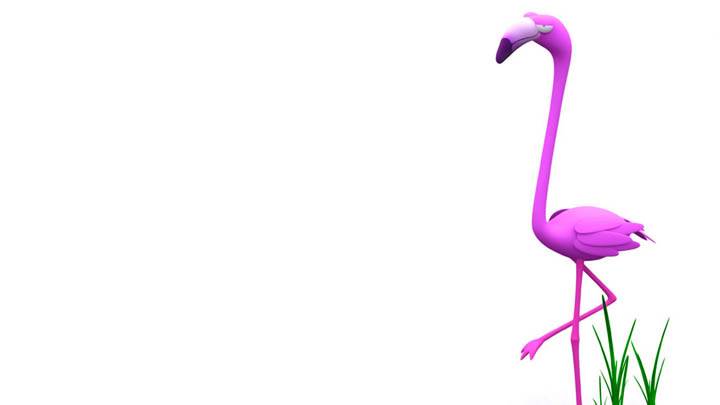 3D Flamingo character
