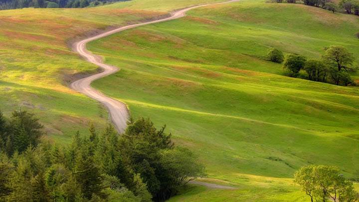 Bald Hills Road, Redwood National Park, California