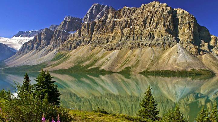 Bow Lake And Flowers Banff National Park Alberta Canada C25