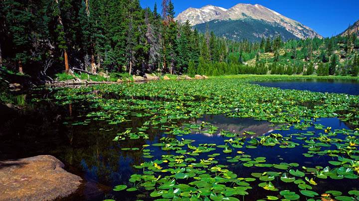 Cub Lake Stones Mountain Rocky Mountain National Park Colorado