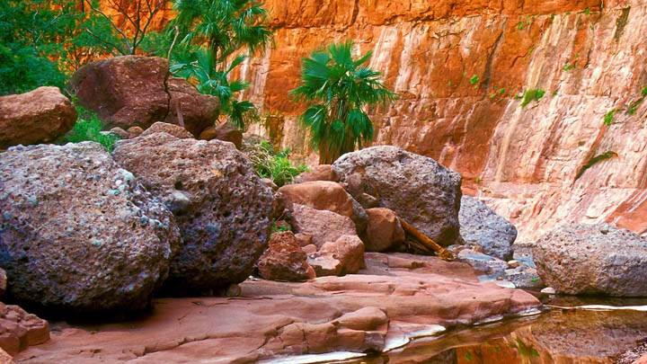 Hidden Oasis, El Cajon Canyon, Baja, Mexico