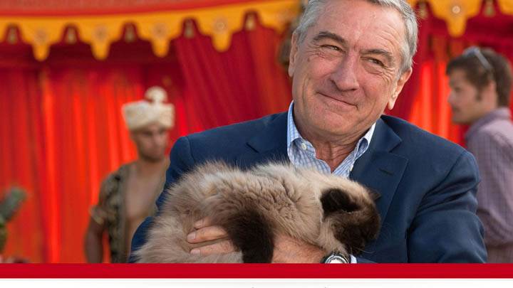 Little Fockers – With Cat