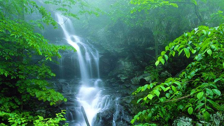 Lower Doyles River Falls, Shenandoah National Park, Virginia