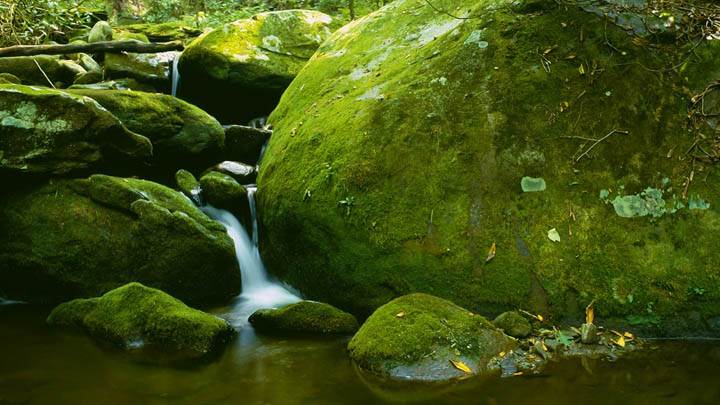 Mossy Boulder, Roaring Fork, Great Smoky Mountains National Park, Tennessee