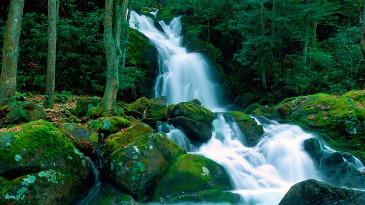 Mouse Creek Falls, Great Smoky Mountains, North Carolina
