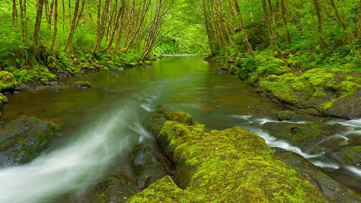 Nestucca River, Oregon