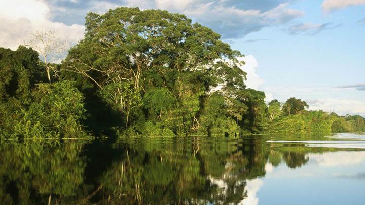 Pacaya-Samiria National Peserve, Amazonia, Peru