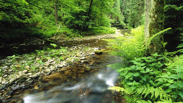 Polenz, Sachsische Schweiz National Park, Germany