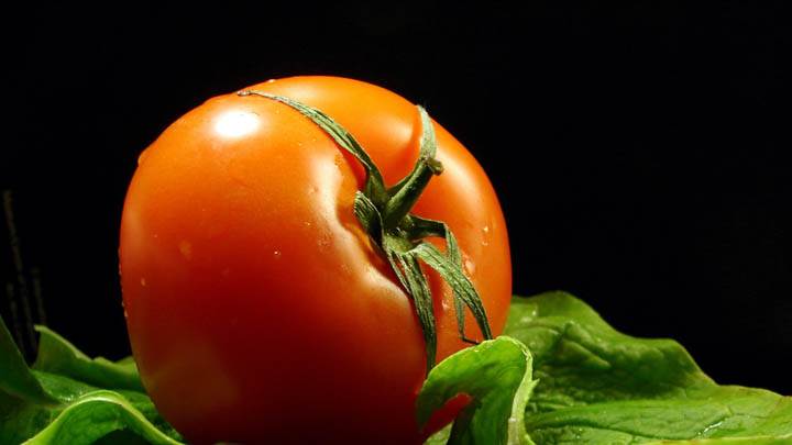 Tomato Closeup Picture