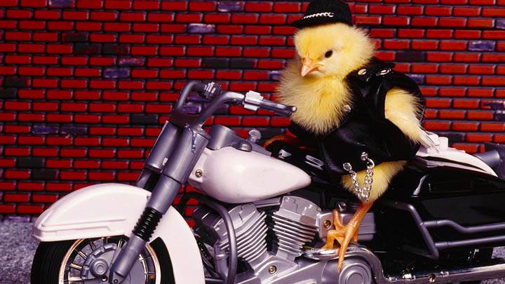 Biker Chick