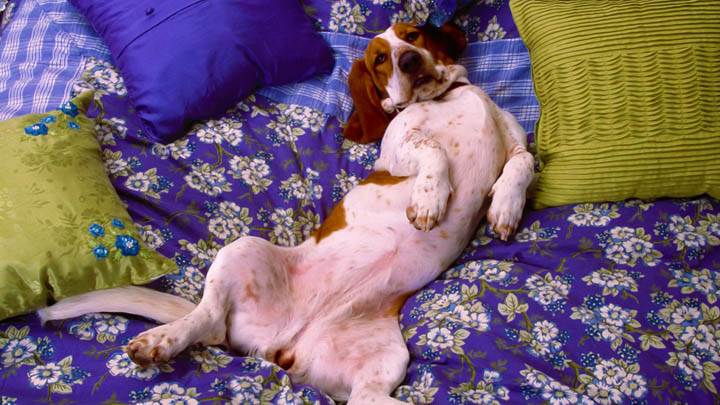 Relax, Get Comfy