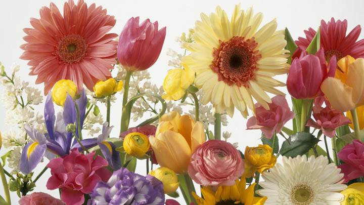 Springtime Arrangement