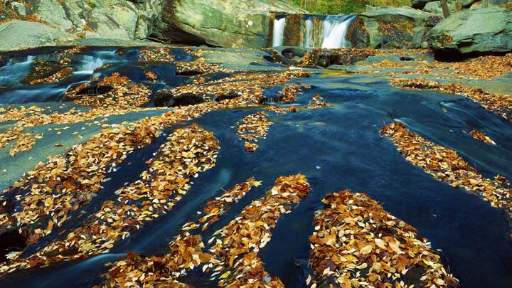 Tellico River, Cherokee National Forest