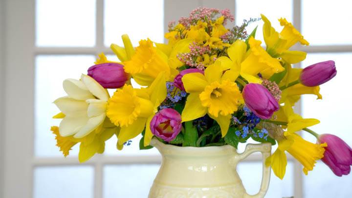 The Timeless Beauty of Flowers