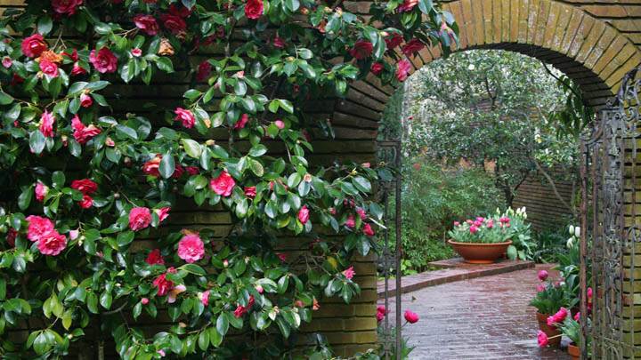 Woodland Garden Archway, Filoli Estate