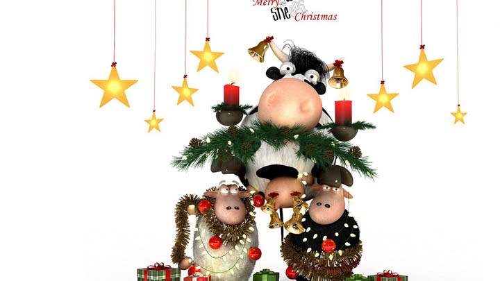 Merry Sheeps Christmas