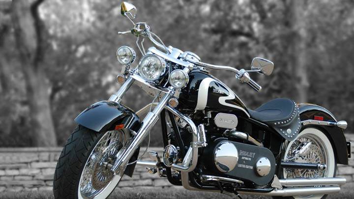 Ridley Chopper – Looking Awesome Front Pose