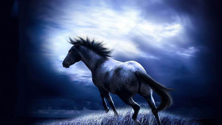 Running Dark Horse