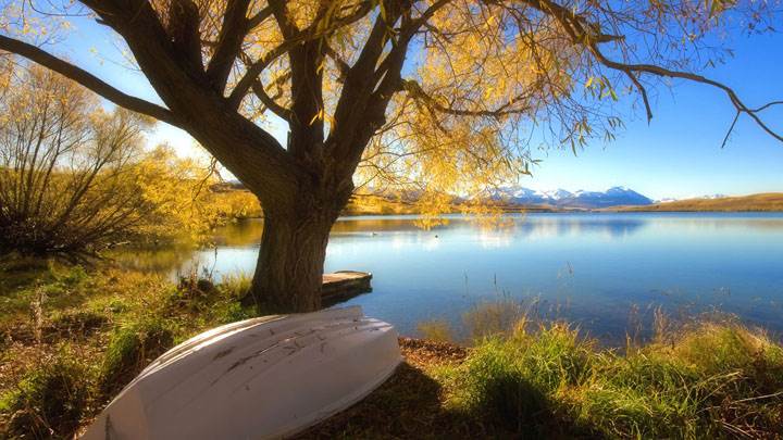 Lonely Side Of Lake