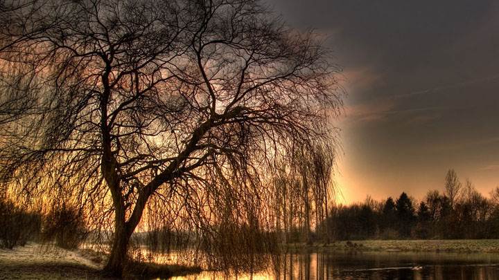 Sunday Morning Near River