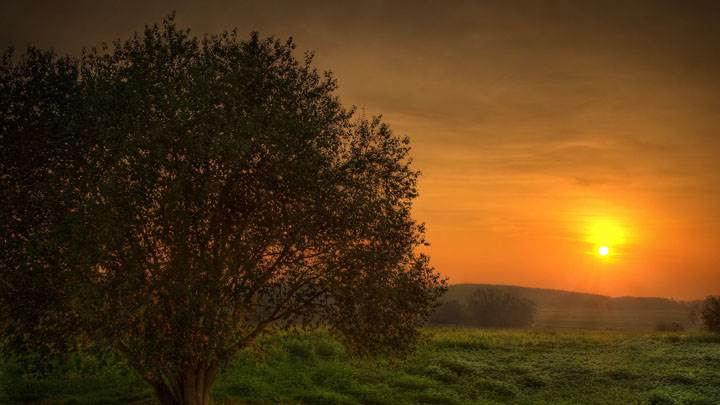 Sunset In My Village