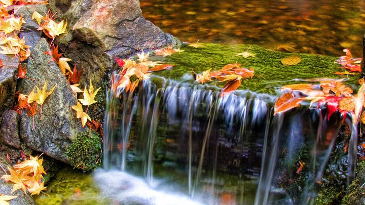 Tiny Waterfall In A Park
