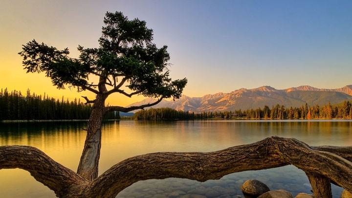 Very Pleasent Scene Near Lake