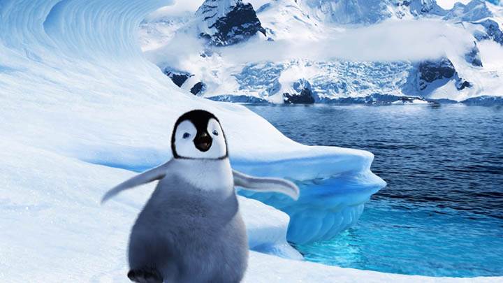 Baby Mumble In Happy Feet 2