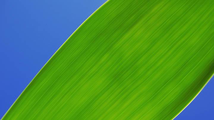 Mirrors Edge – Punching