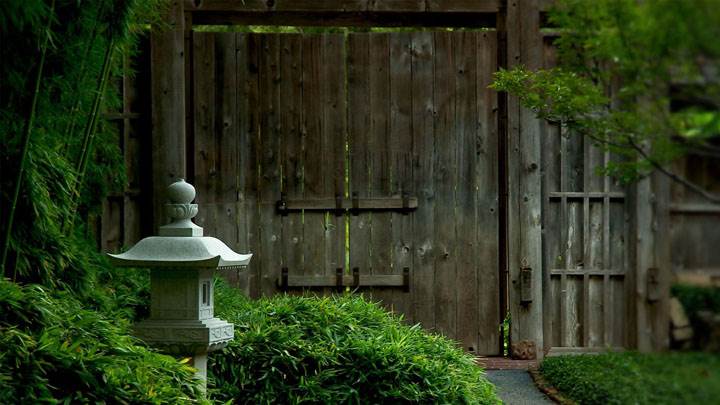 Garden Nature
