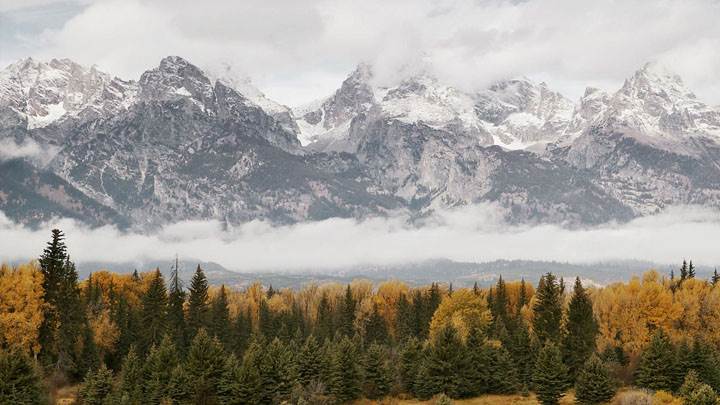 Mountains Meadow