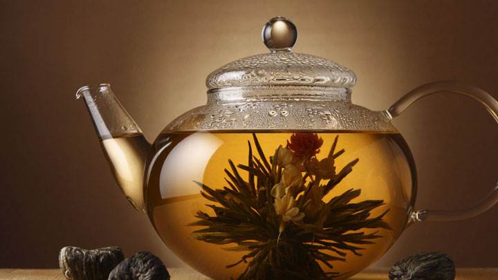 Tea Cattle Photography