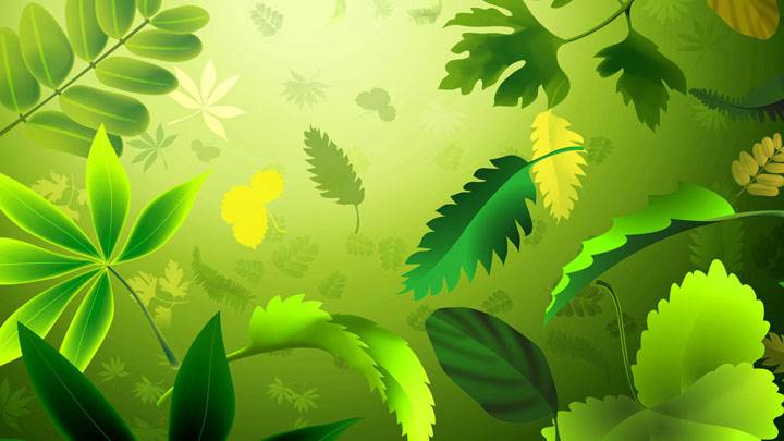 Artistics Leaves