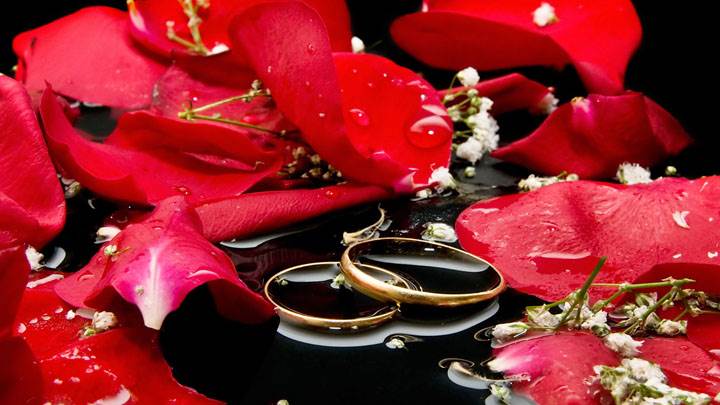 Wedding Rings With Red Rose And Water