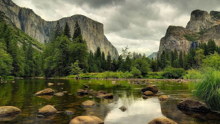 Yosemite National Park Nice Scene