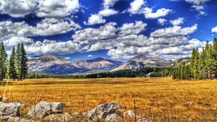 The Rare Scenery Of Golden Crop And Clouds