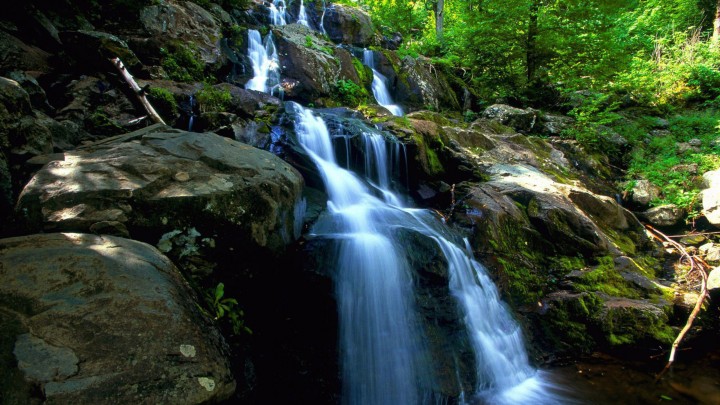 Closer Look Of A Beautiful Little Waterfall In Forest
