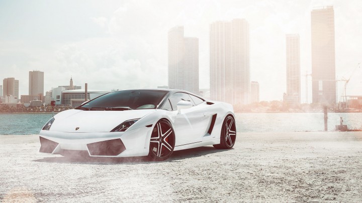 Lamborghini Gallardo Super Car In White Color